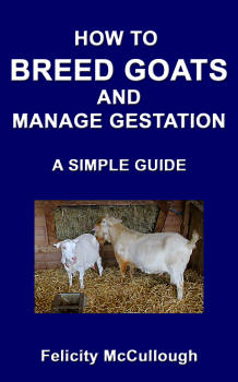 How To Breed Goats And Manage Gestation