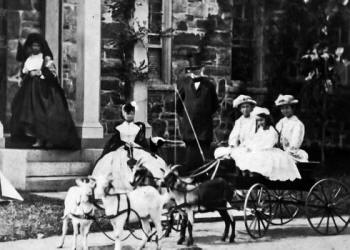 Children in a Goat Cart in Front of House